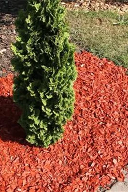 Mulch - Einsatz im Garten